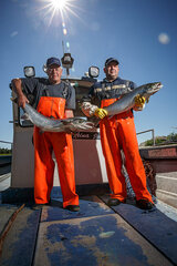 A reportage on salmon with Nils Håkan Nygård and Sven Ole Nygård. Publised in ÖT.